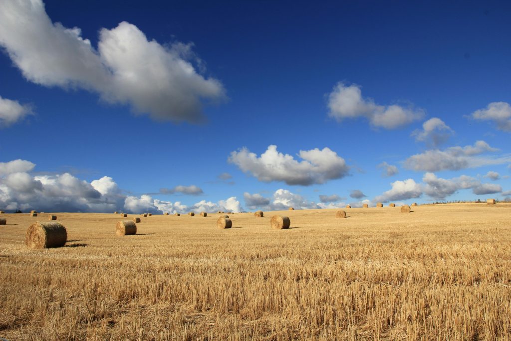 Scenic rural landscape with hay bales on a sunny day beneath a vibrant blue sky.