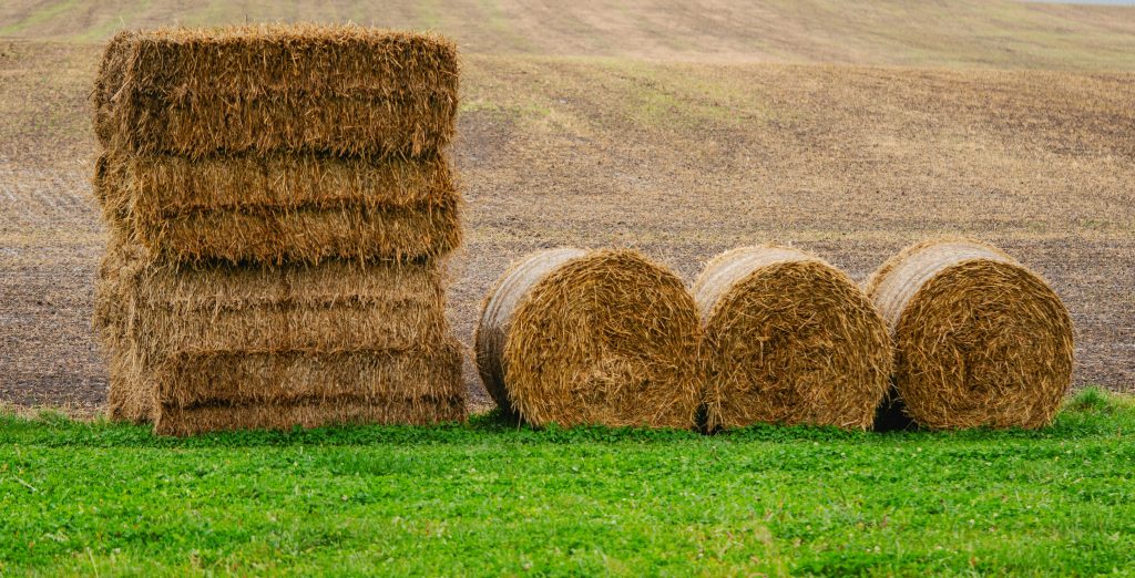 Hay stacks and round bales in a countryside field with green grass.